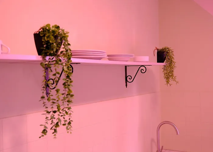 فيلة 70 بسكييرا ديل غاردا